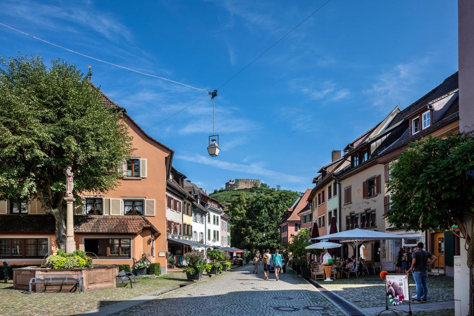 Ferienwohnung Am Neumagen Штауфен-ім-Брайсґау Екстер'єр фото